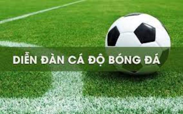 ý nghĩa vai trò diễn đàn cá cược bóng đá 