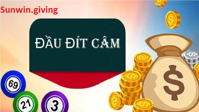 cách đánh lô xiên 3 dựa vào đầu đít câm